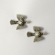 Parwaaz earring
